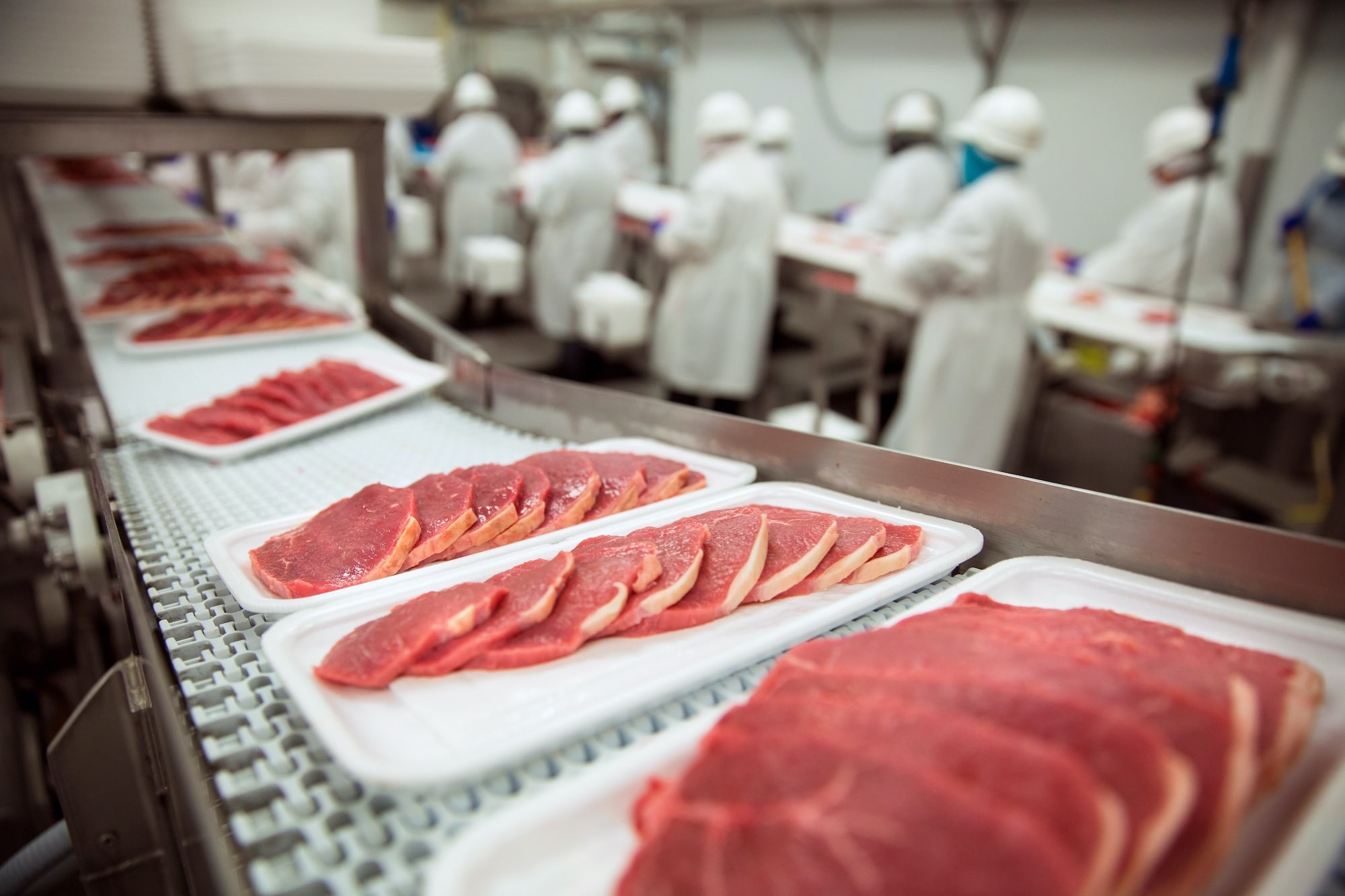 How Automated Food Inspections Ensure Food Quality