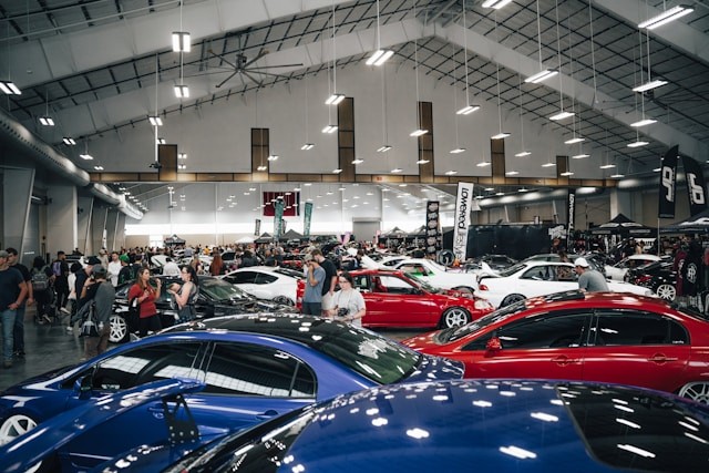 Mathewsons Auctions: How They Work