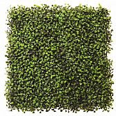 BOXWOOD DELUXE 50CM X 50CM – ARTIFICIAL HEDGE PANEL