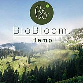 BioBloom