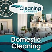 Domestic Cleaning Service