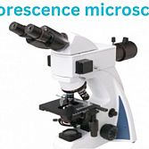 Fluorescence microscope