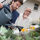 Garden Maintenance