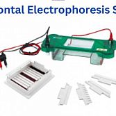 Horizontal Electrophoresis System
