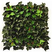 IVY LEAF 50CM X 50CM â ARTIFICIAL HEDGE PANEL