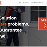 Pest Control Services