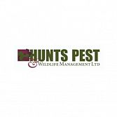 Pest Control St. Neots