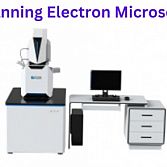  Scanning Electron Microscope