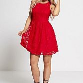 Sleeveless Lace Skater Mini Dress