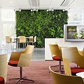 The modern trend of artificial hedges indoors
