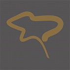 Forest Gallery Fine Art