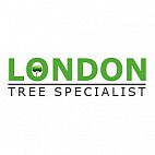 London Tree Specialist