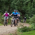 New Forest Mountain Biking