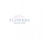 Flowers Belsize Park