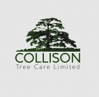 Collison Tree Care | Tree Surgeons Bedfordshire