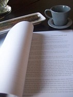 Fox Plastering Services