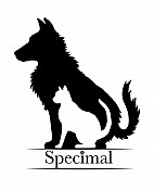 Profile Installations Ltd