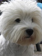 The Bromsgrove Choral Society