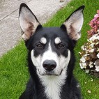 Ablegrange Supported Living Ltd