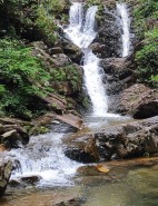 Victorian Garden Floral Designers