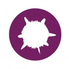 Inscape Design Arena